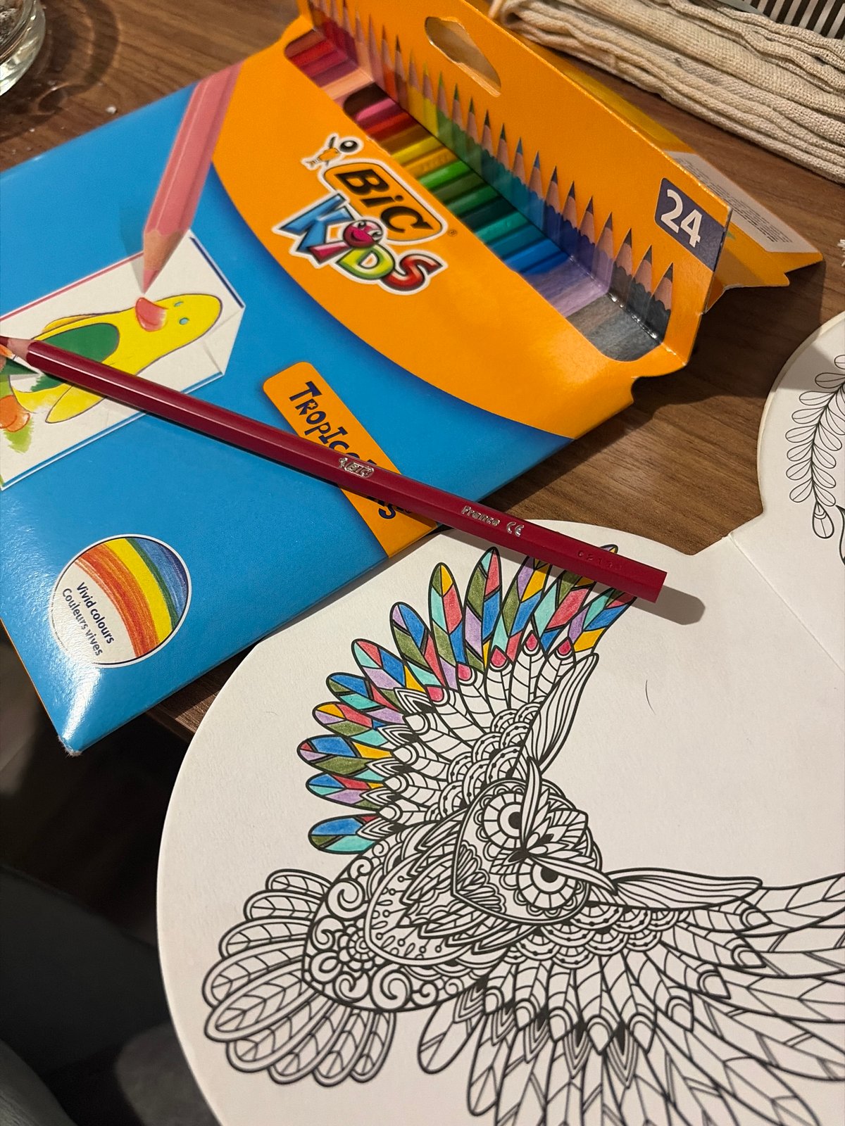 Art supplies and owl drawing captured in Sofia