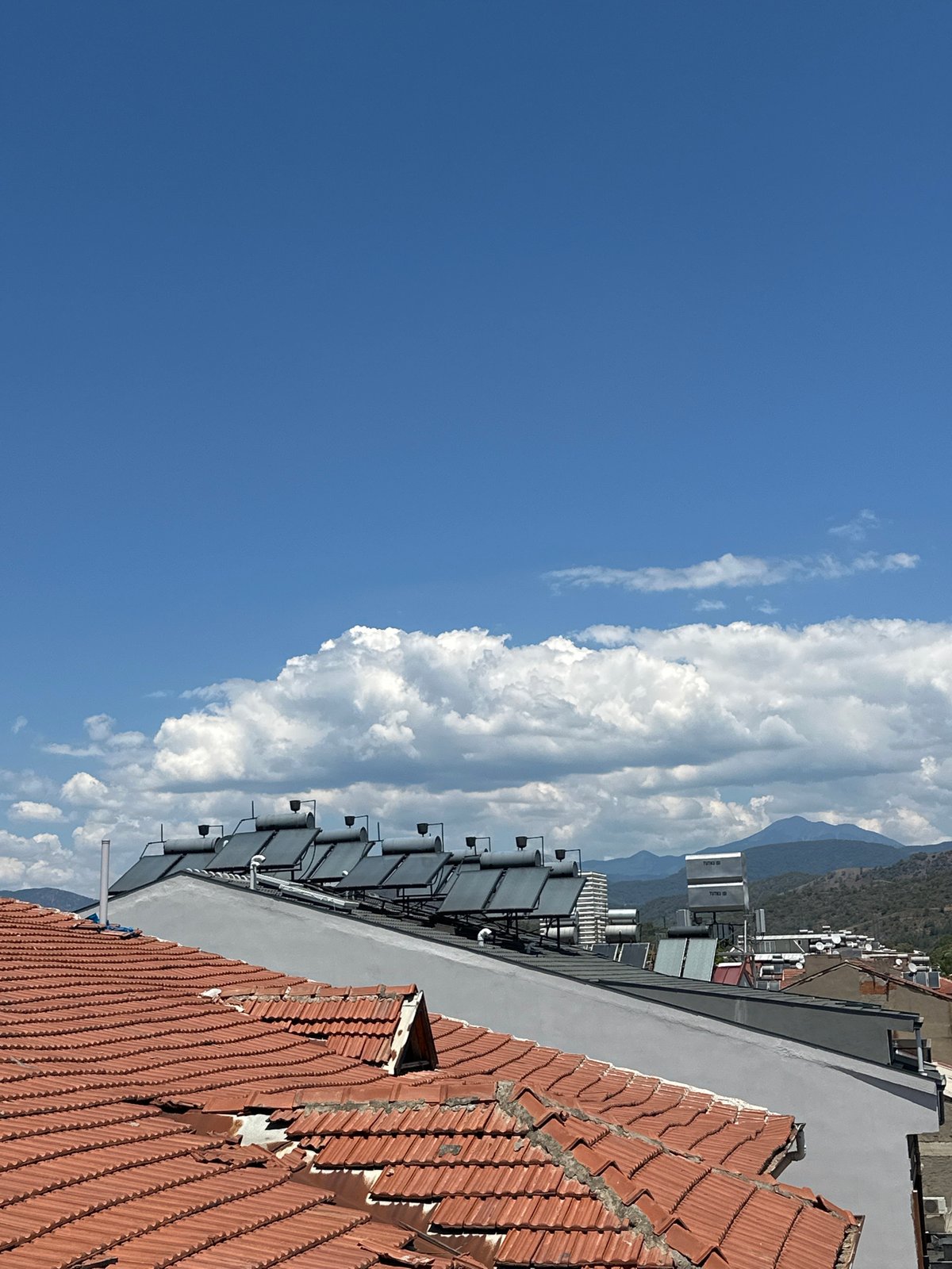 Rooftops, palms, and downtime in sunny Fethiye