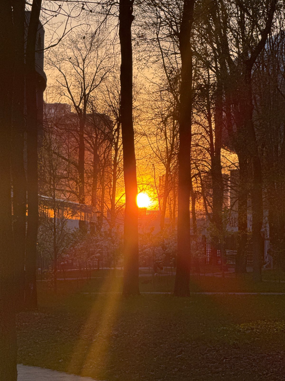 Moscow park walkway scenes captured during evening sunset