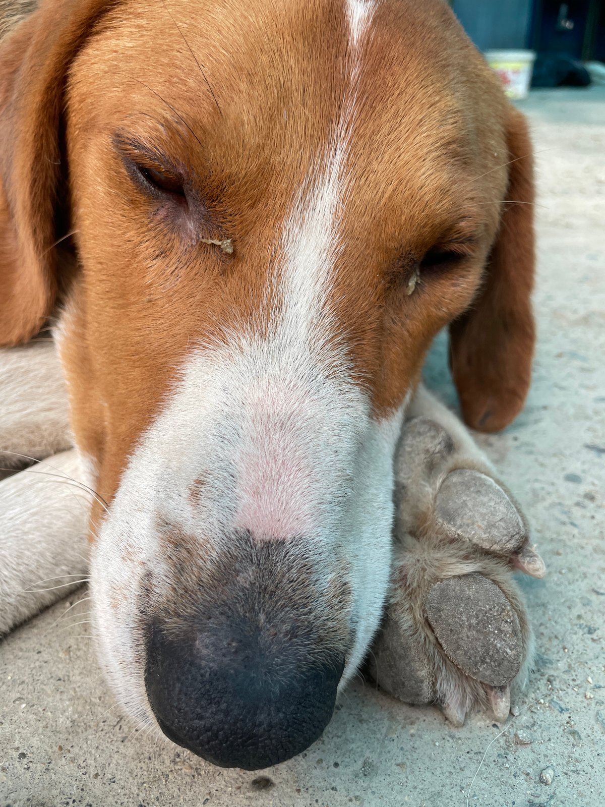 Daily life moments captured in rural Russian village