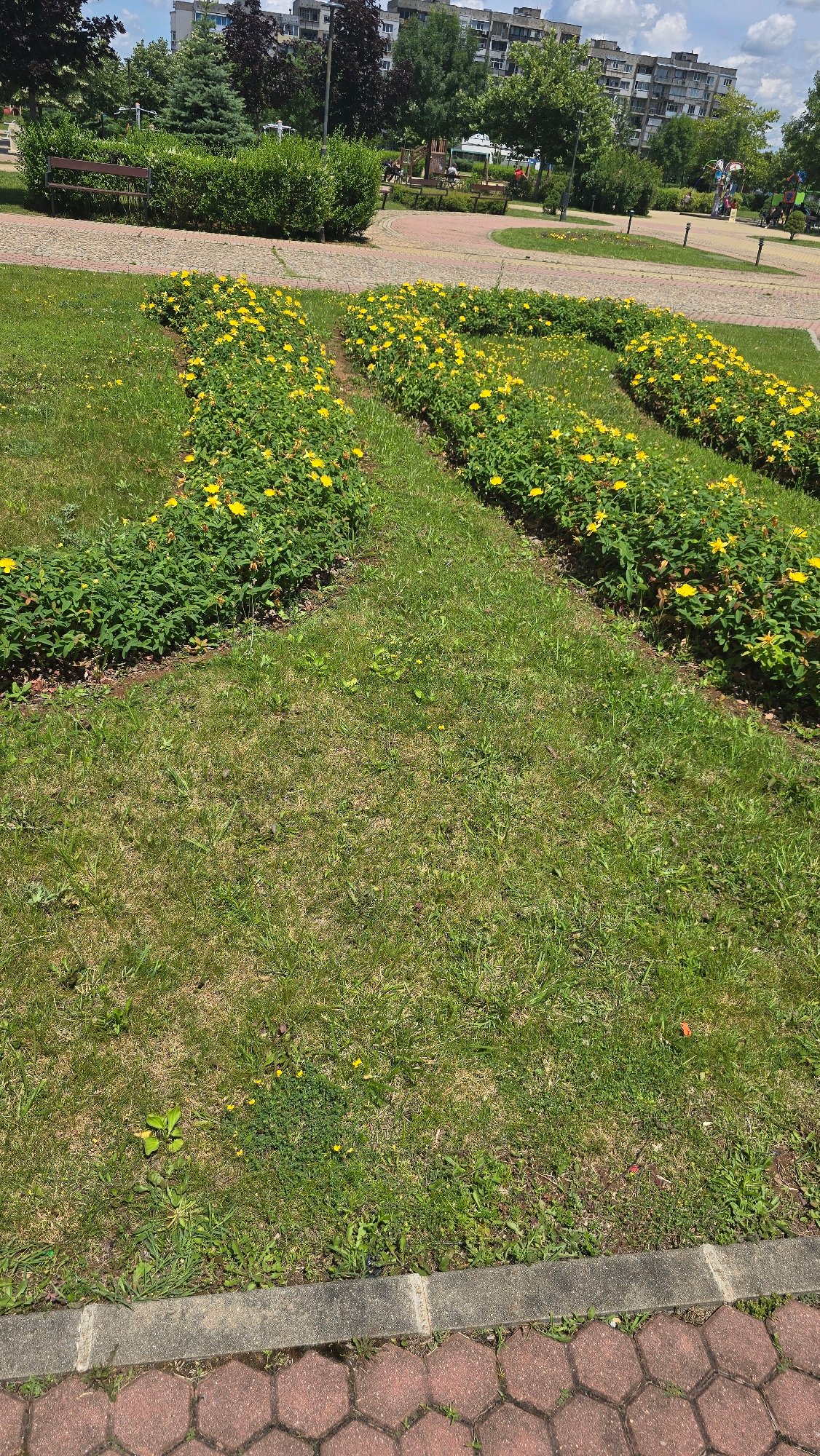Morning park walk documented in Vratsa, Bulgaria
