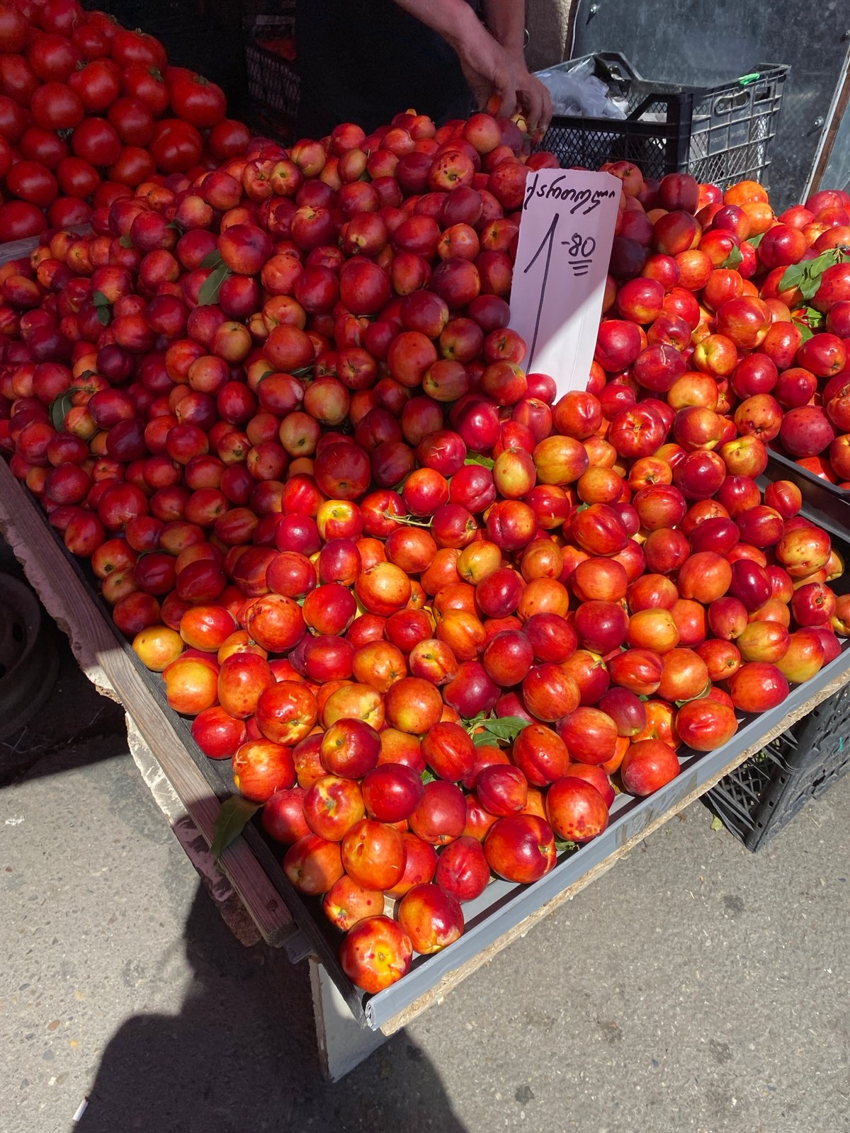 Tbilisi street market, stray animals, and summer produce