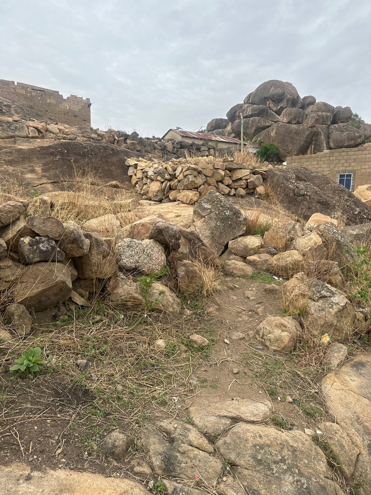 Cats and goats spotted in rocky Jos landscape