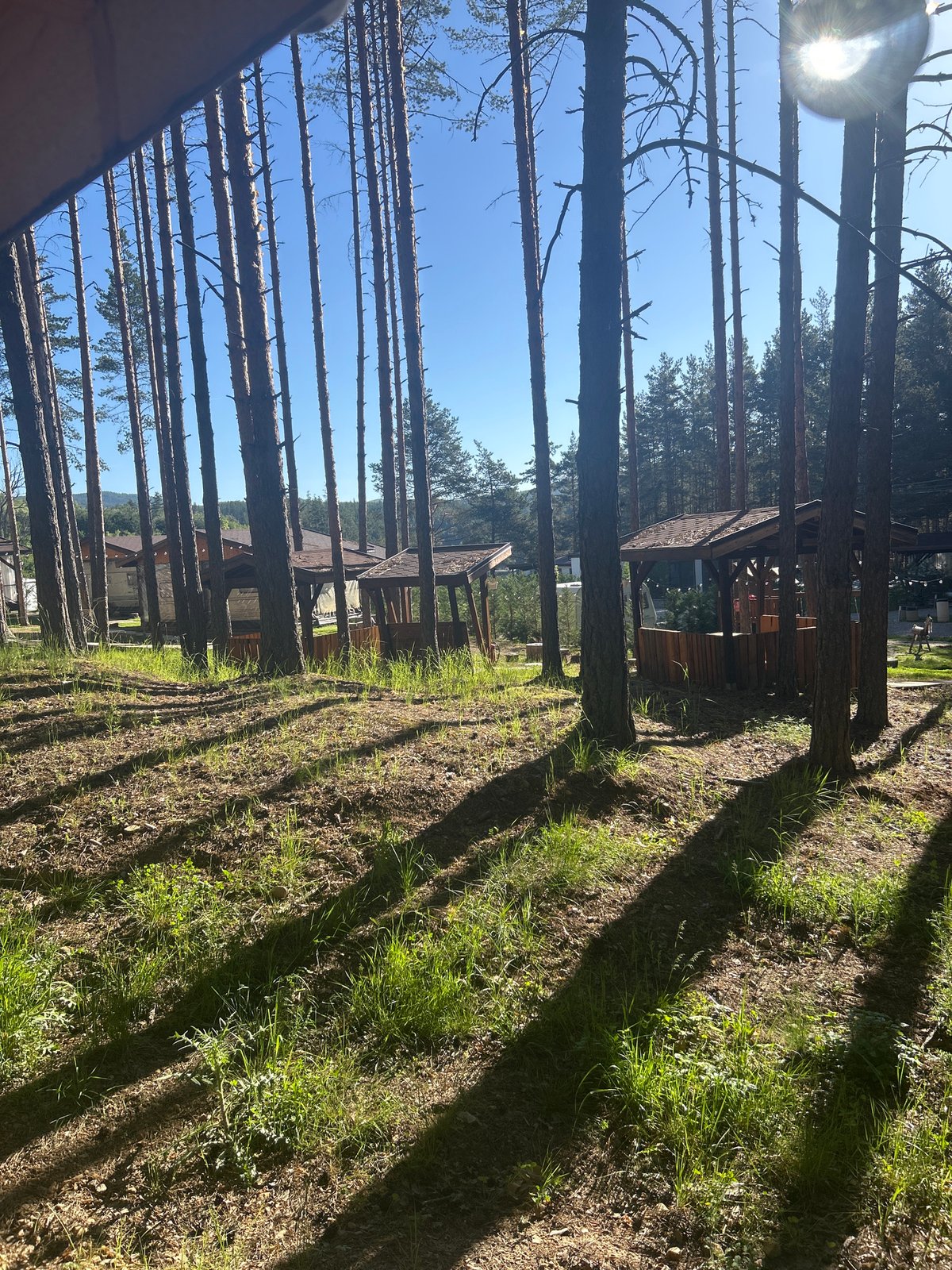 Early morning outdoor scenes documented in Alino, Bulgaria