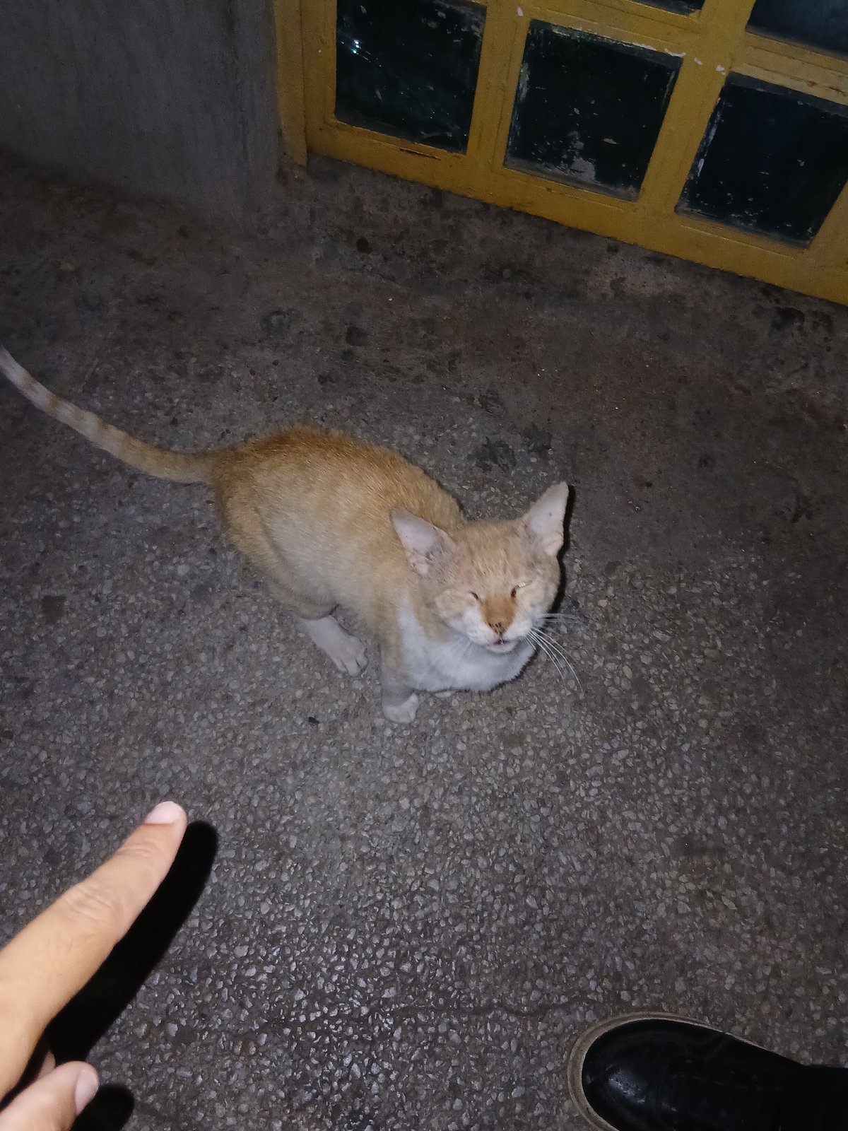 Evening life documented in Juan Griego, Venezuela streets