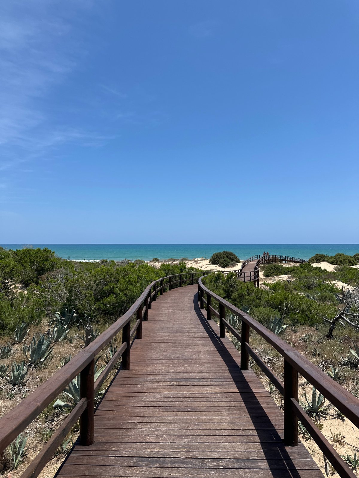 Coastal boardwalk and beach documented in Guardamar del Segura