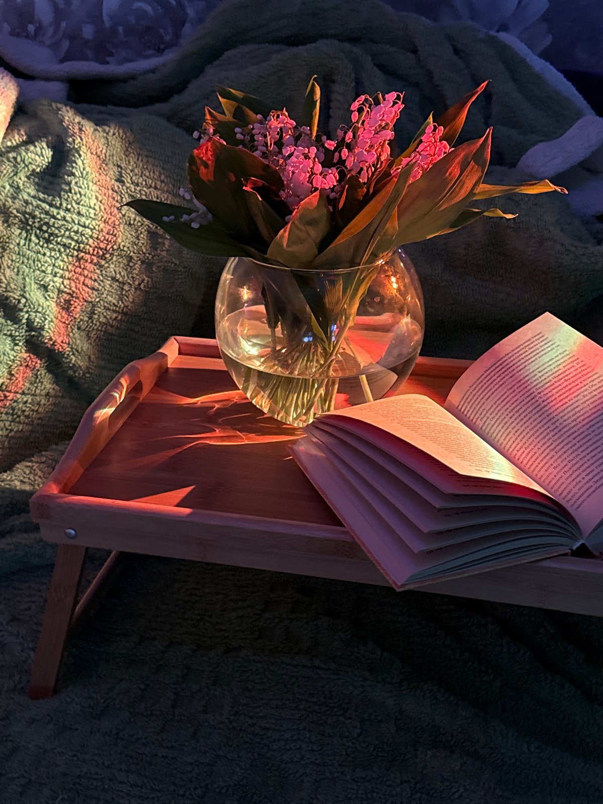 Evening tea ritual with flowers and book documented indoors