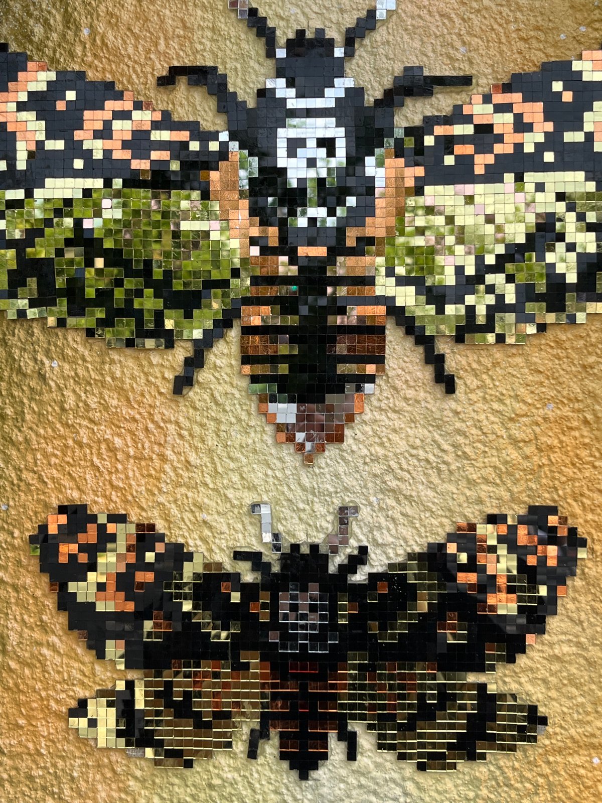 Street art featuring moths, butterflies documented in Belgrade suburb