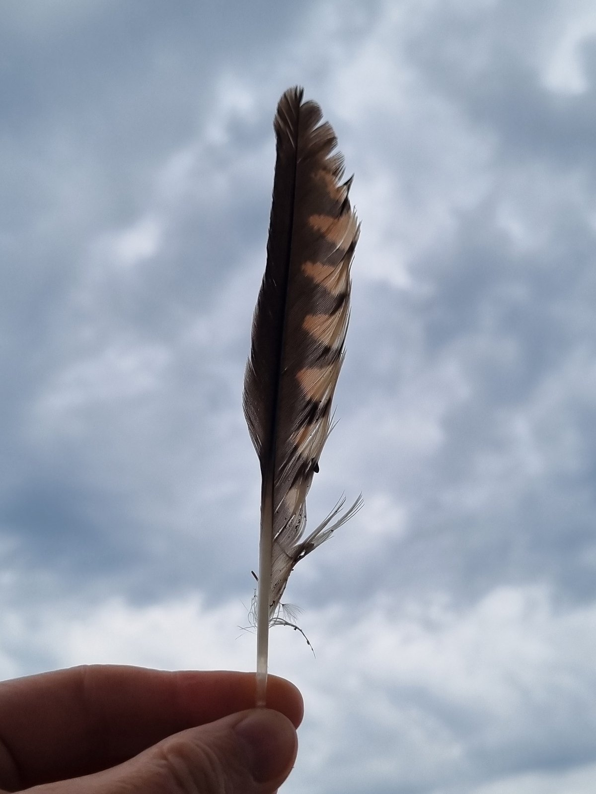 Hand holds feather against cloudy sky in Kemul, Russia