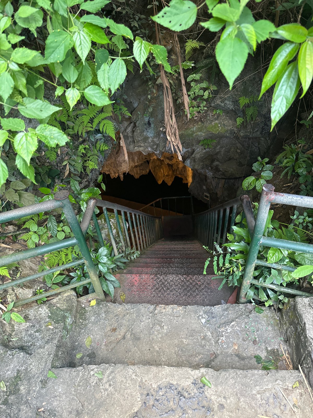 Tourists explore Vietnamese caves and scenic spots during morning visit