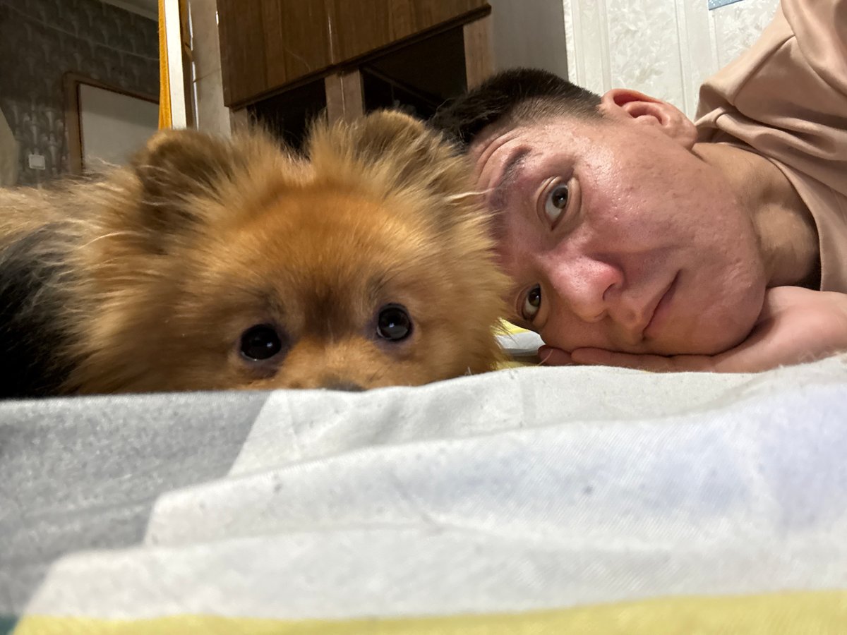 Lazy afternoon on the bed with a small dog in Khimki