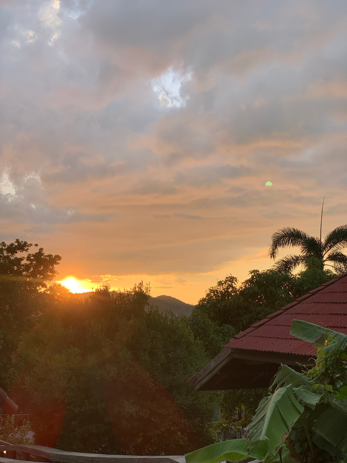 Morning with pets and local food in Ban Bang Rak