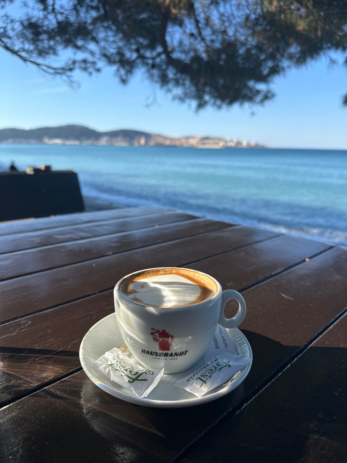Morning coffee with white dog at Montenegro seaside cafe