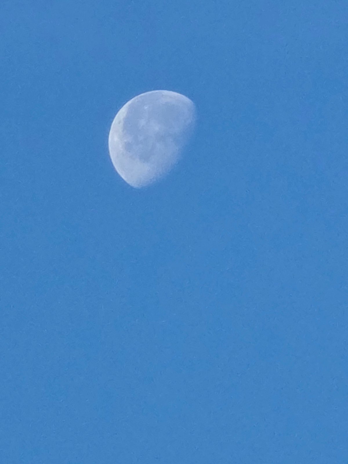Morning forest walk in Kelsterbach with moon shots