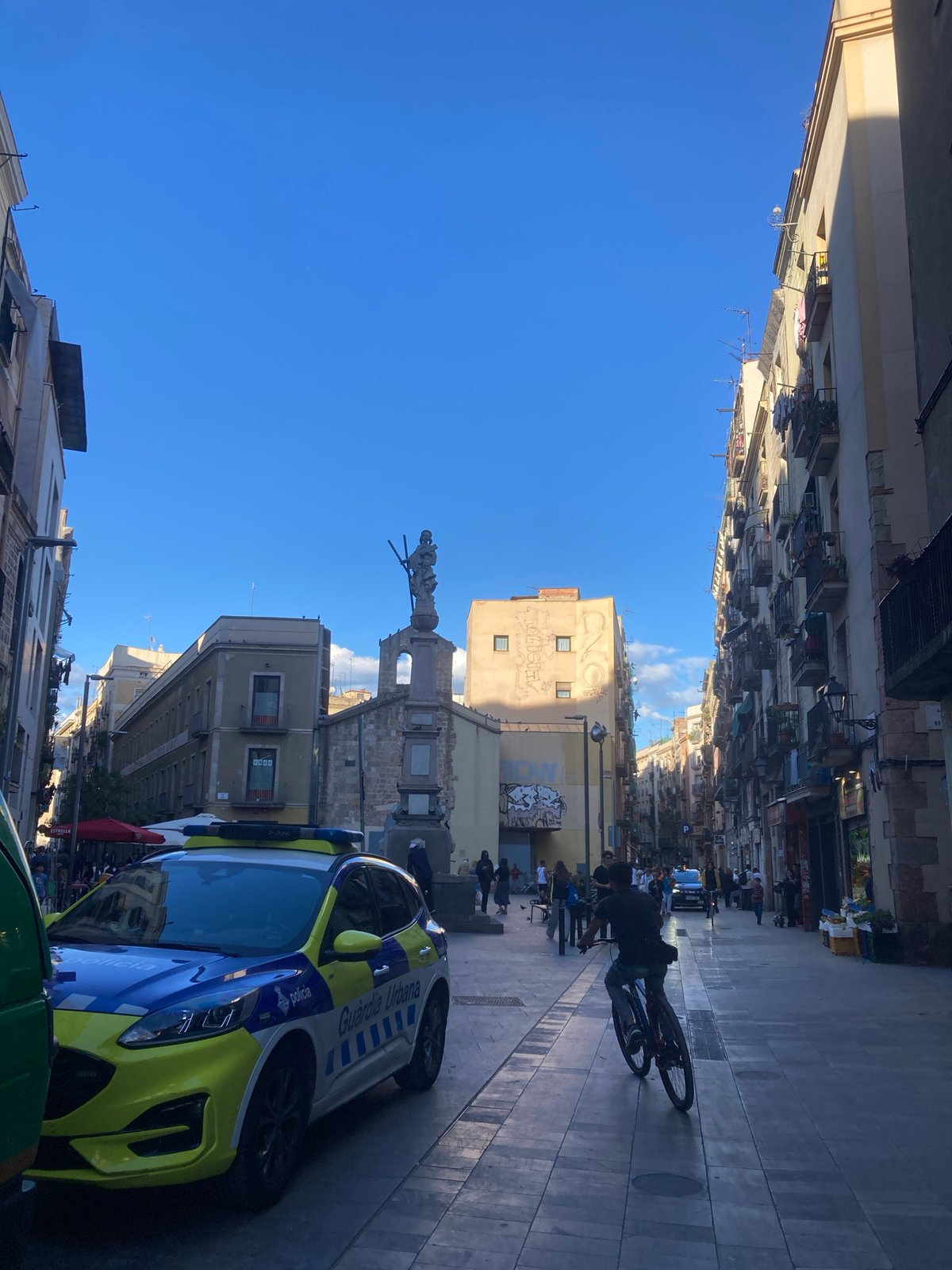 Police car and pedestrian spotted on urban street