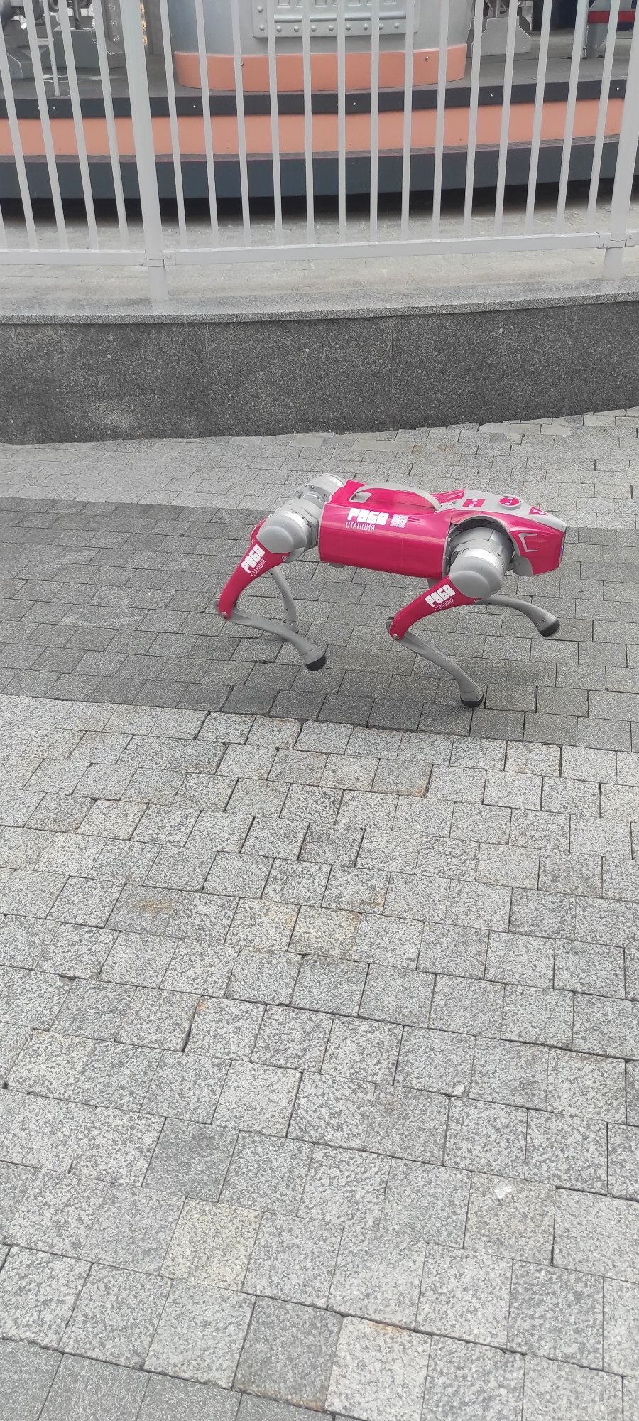 Morning visitors enjoy VDNKh attractions, robot demos in Moscow