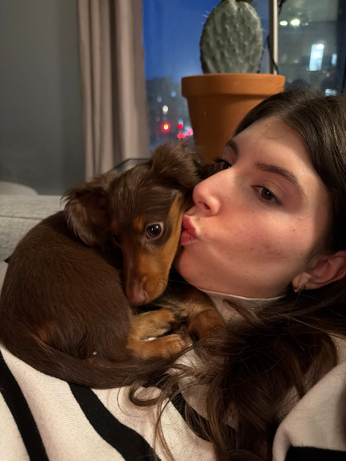 Woman shares affectionate moment with dachshund puppy in Montreal