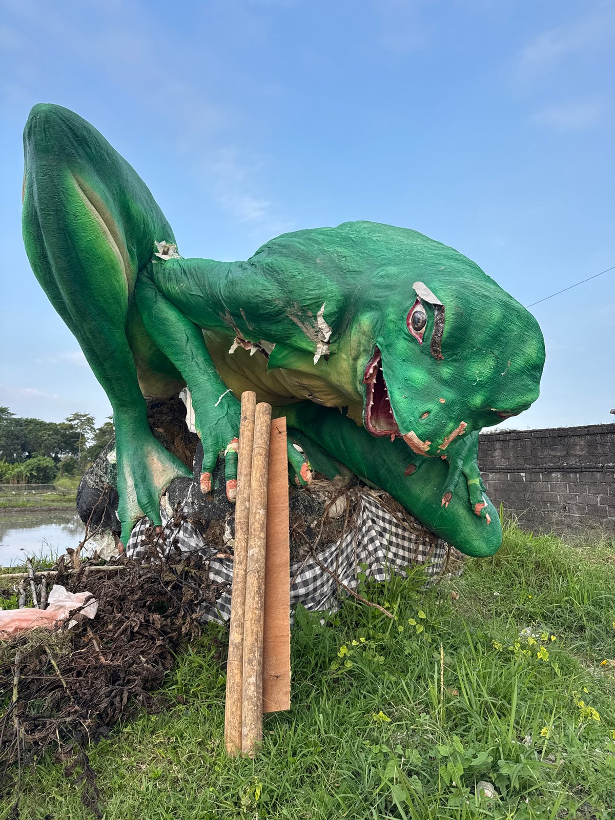 Rice paddy tilling and a festival dragon prop in Sukawati