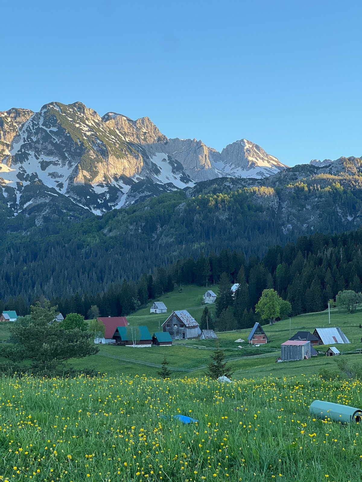 Spring wildflowers bloom in Montenegro mountain valley