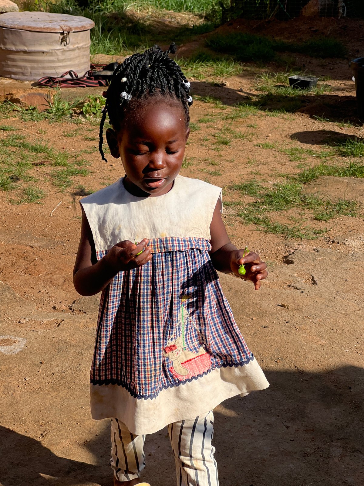 Kids in a sunlit Jos yard on a July morning