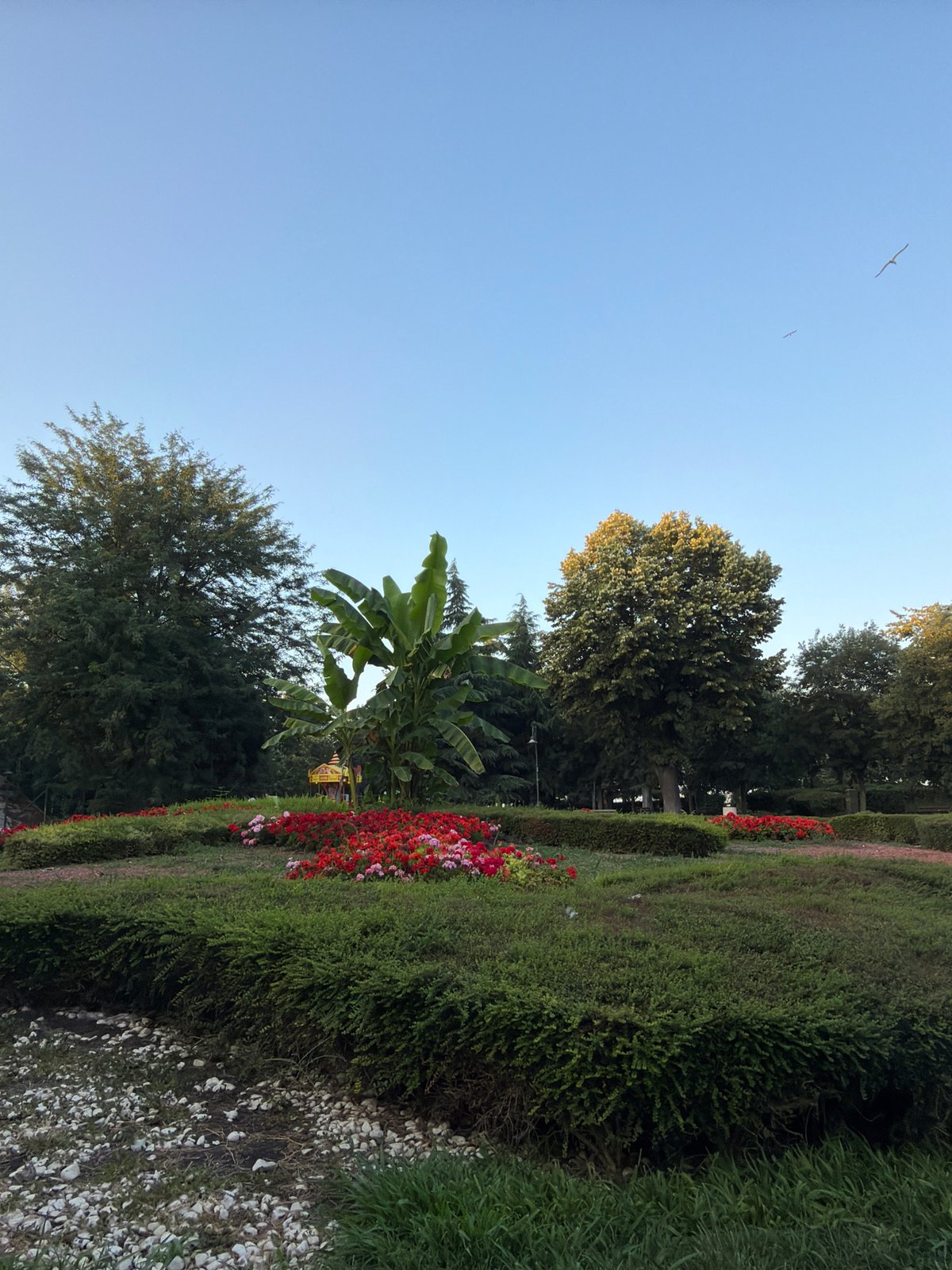 Summer afternoon in Burgas's Sea Garden park