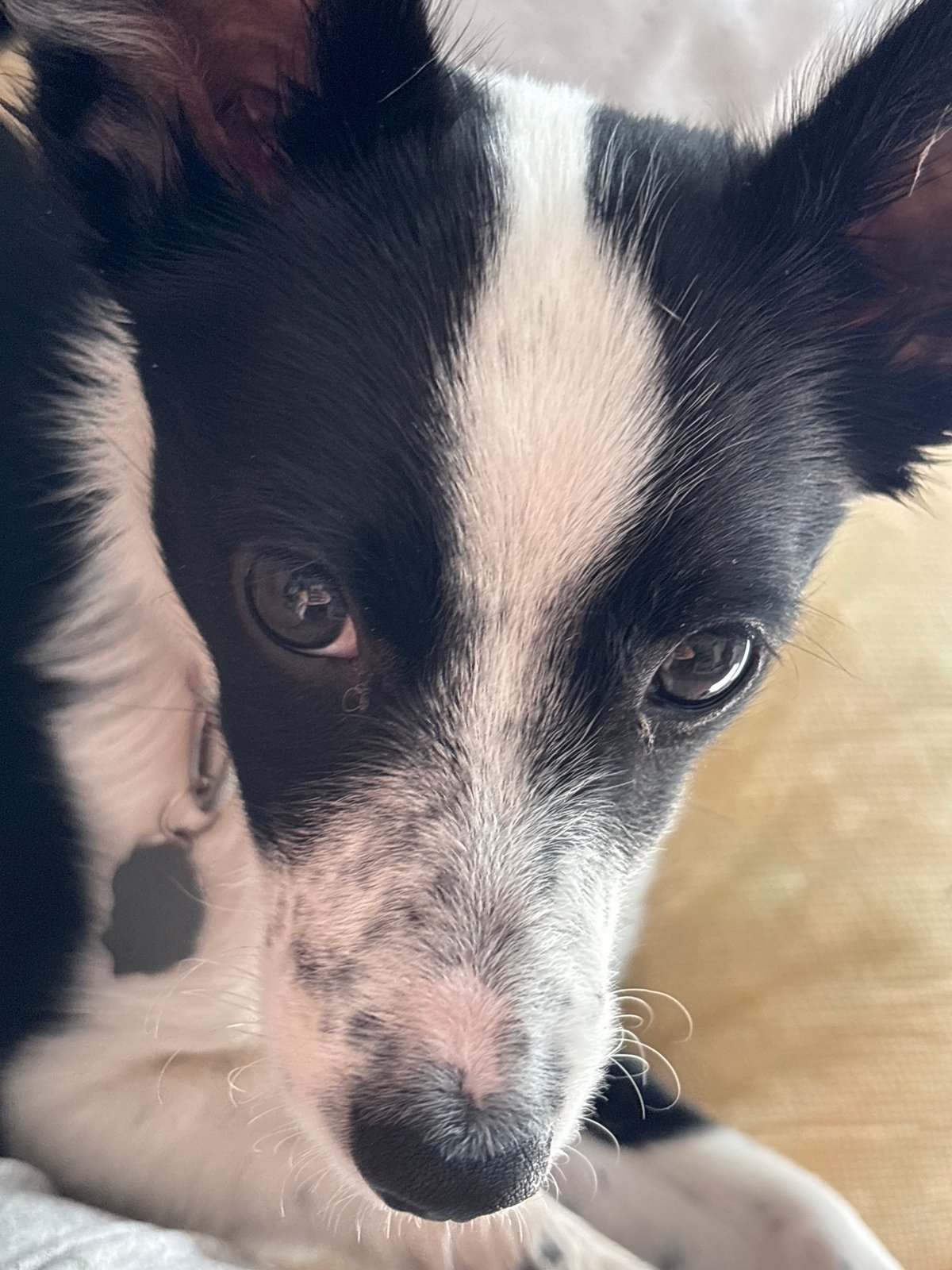 Everyday moments captured in Chaikovsky: selfies, church, dog photos
