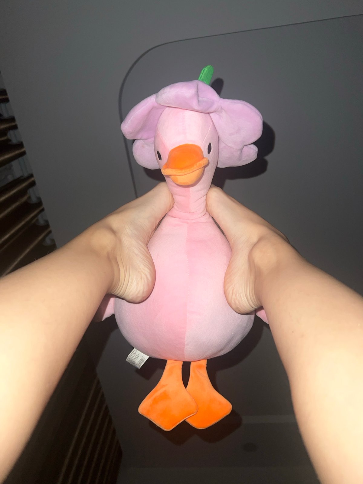 Person plays with pink plush toy in Vietnamese home