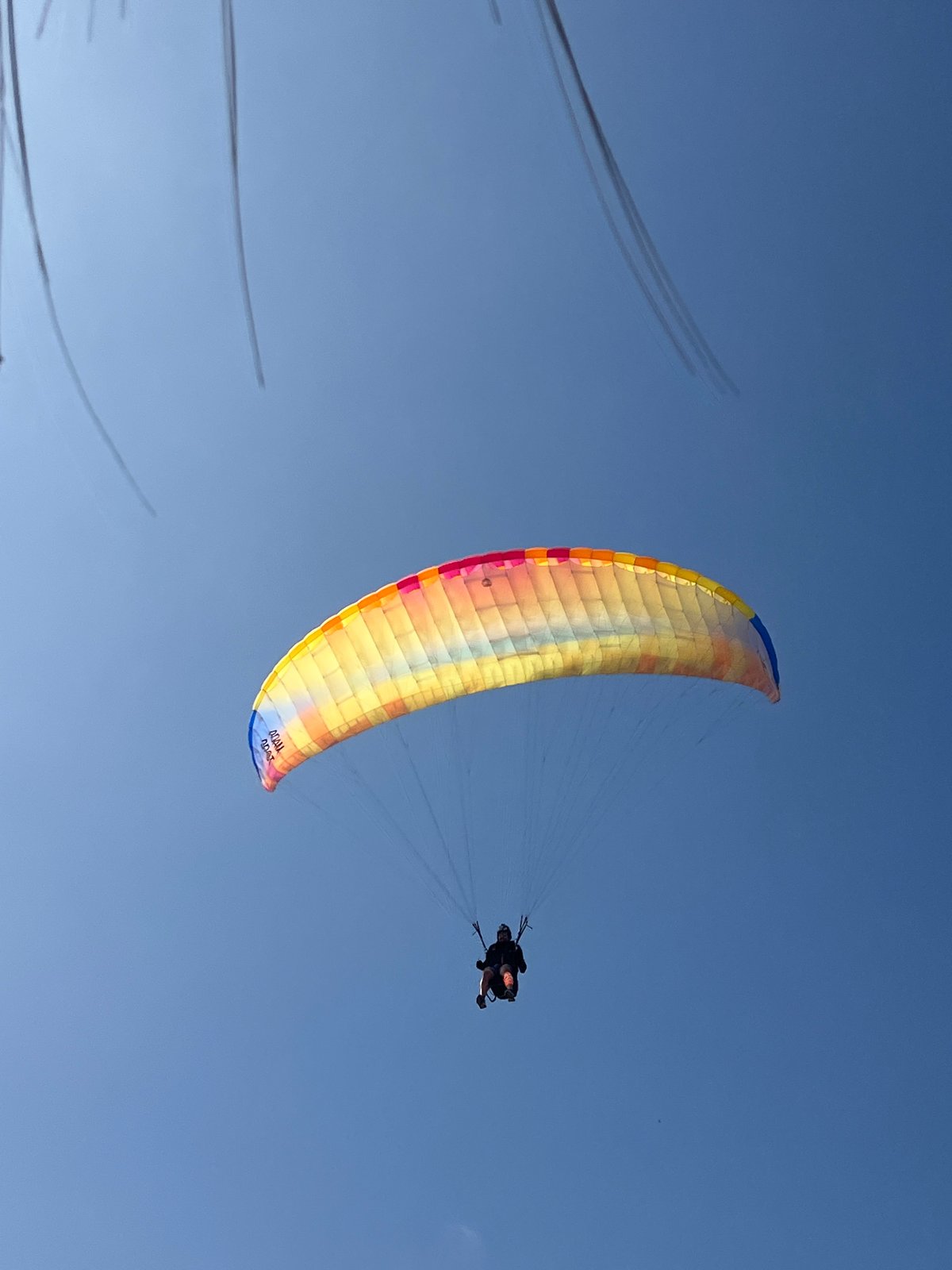 Paragliding event on Arica's beach, multiple pilots and ground crew