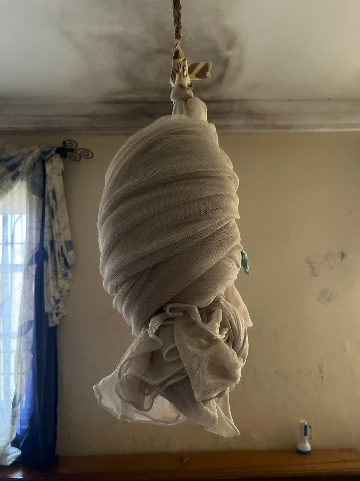 Daily life scenes documented across Gura Top Nigeria markets