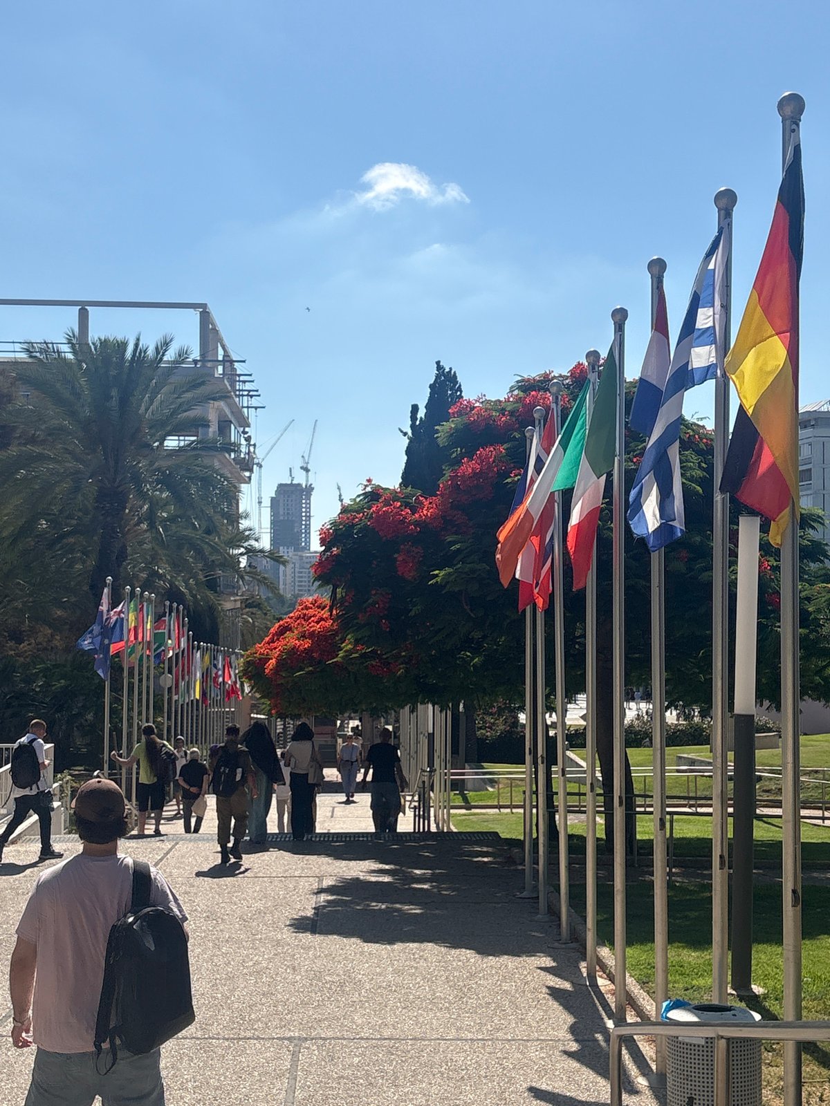 International flags line a sunny Tel Aviv walkway