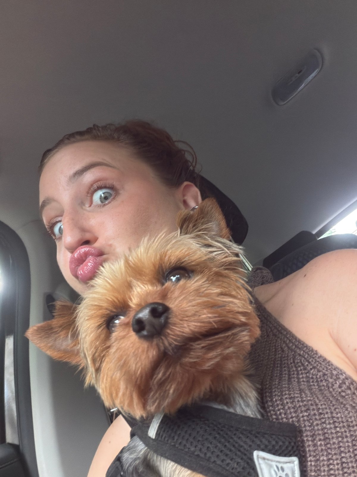 Selfies with a Yorkie and outdoors in Saint Petersburg