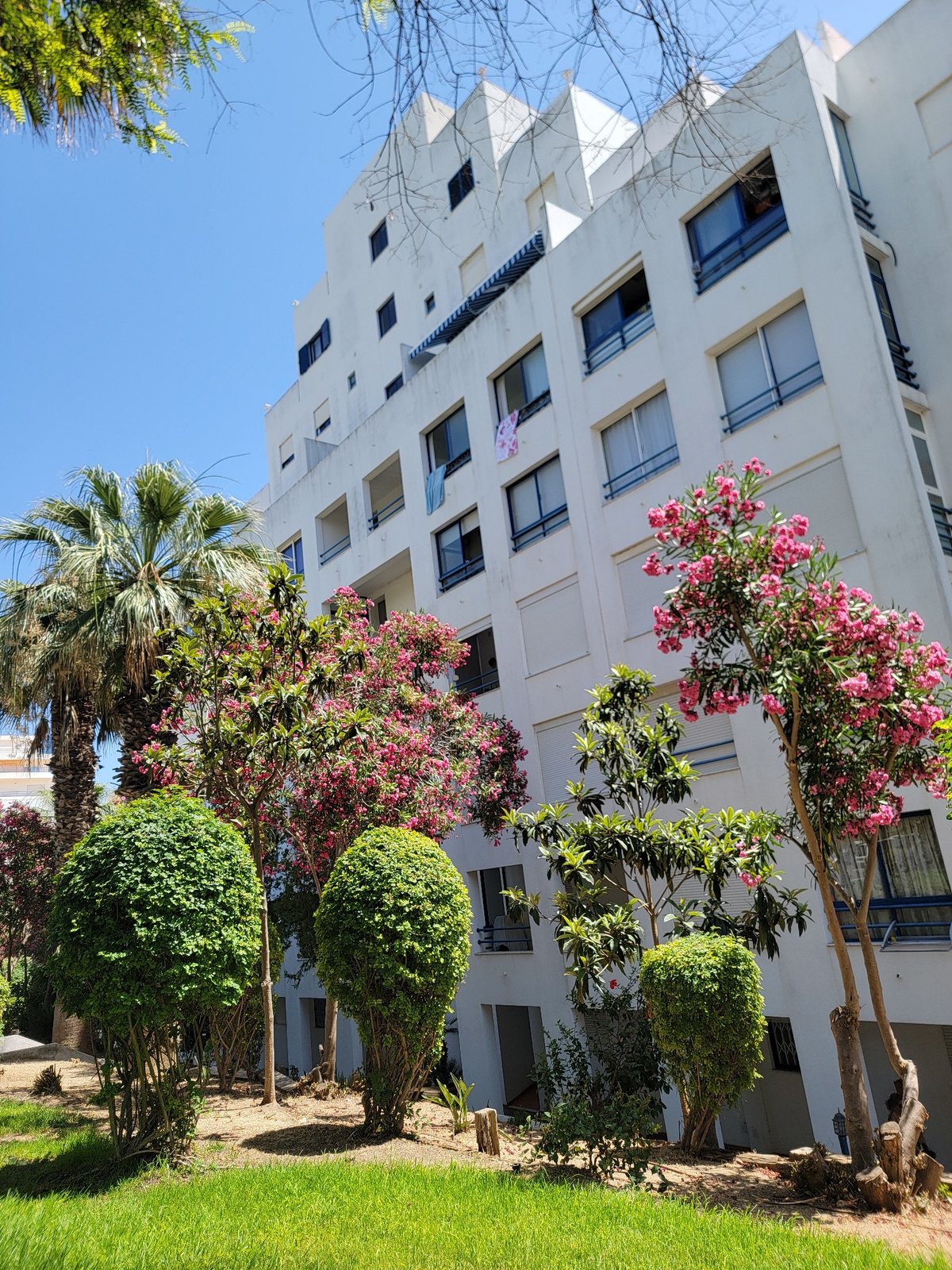 Sunny afternoon in Quarteira: streets, flowers, and local life