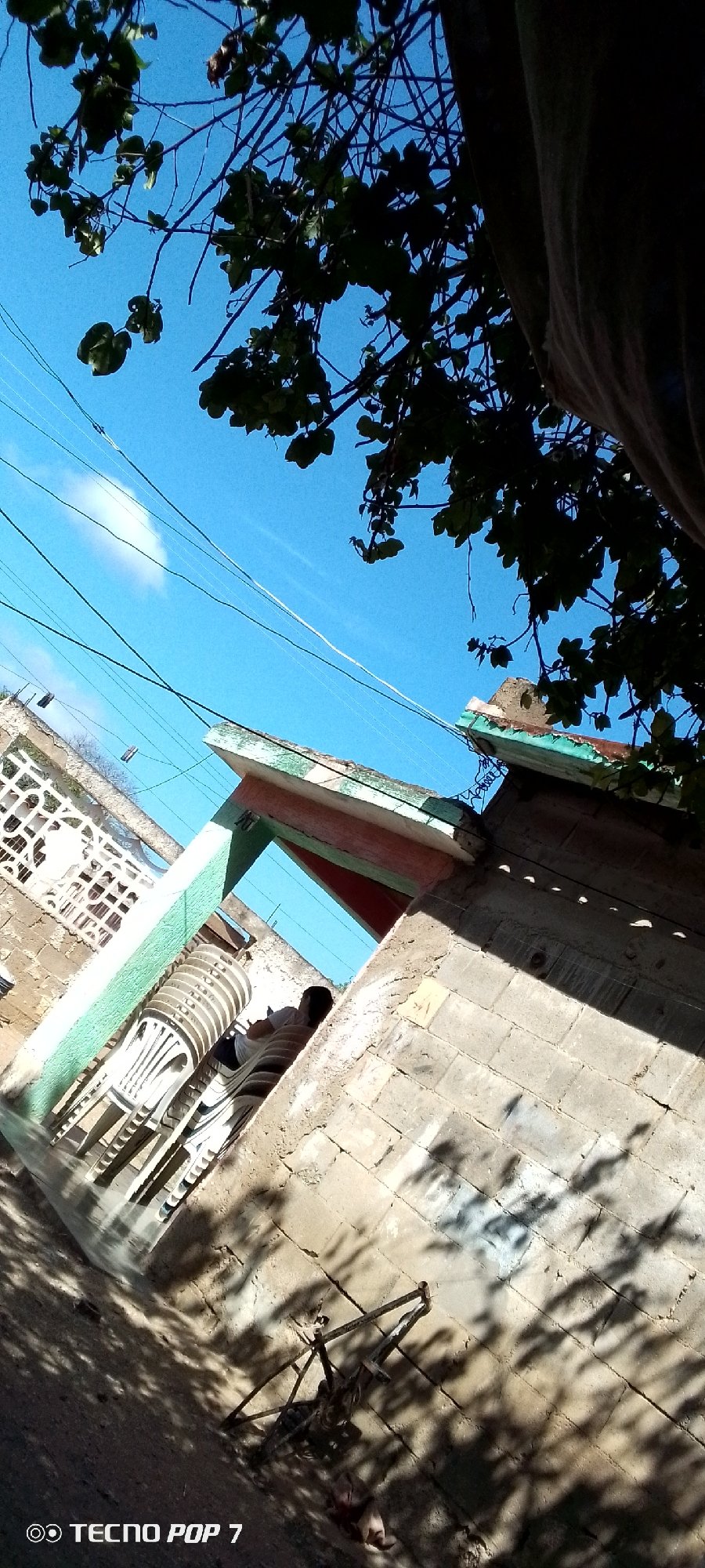 Quiet afternoon in a dusty Altagracia courtyard, dogs and birds