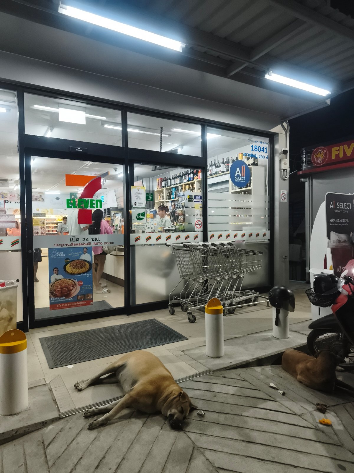 Quiet nighttime street scene with dogs, motorcycles in บ้านบางรักษ์