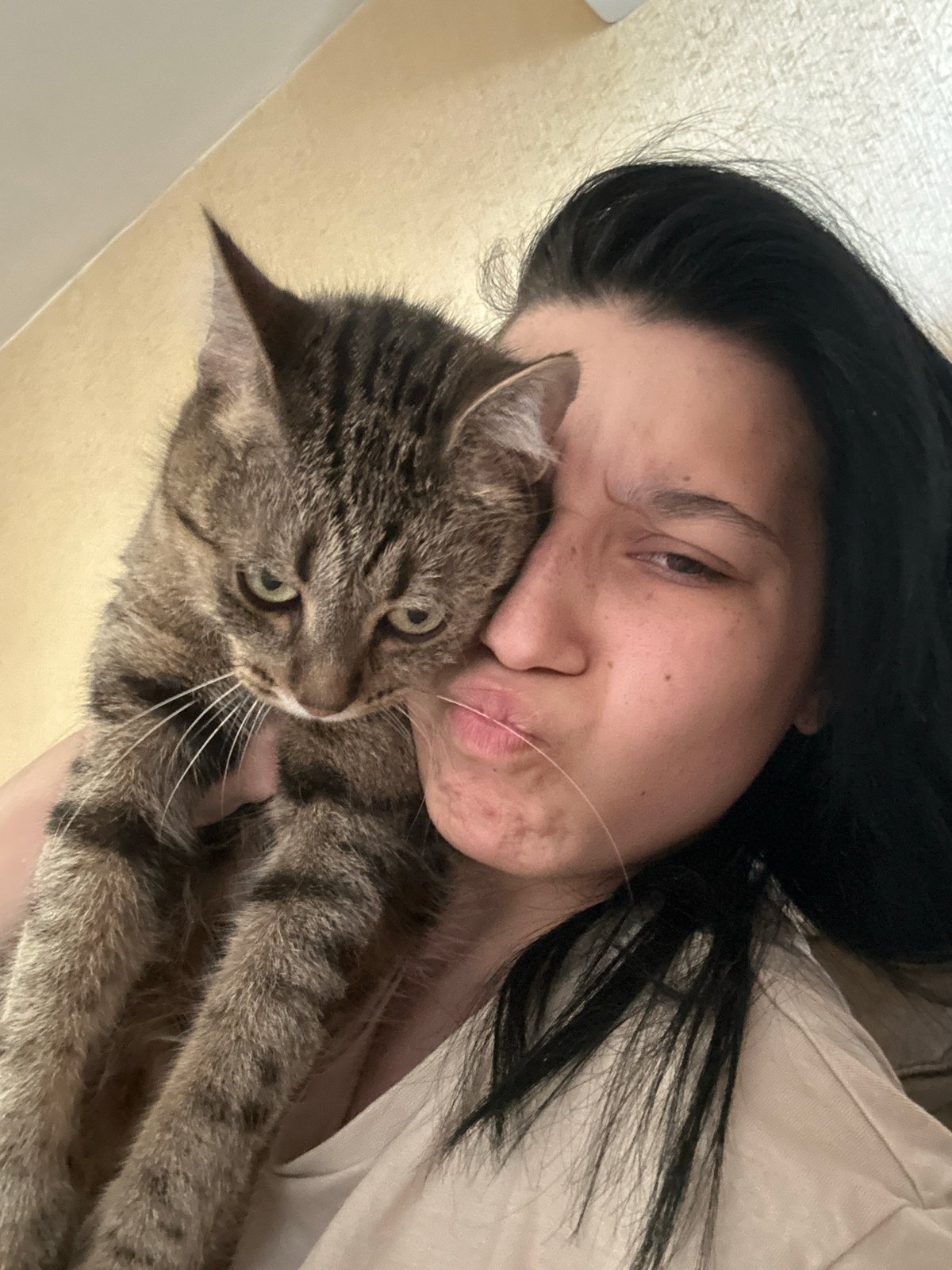 Quiet afternoon with cat and child in Sofia home