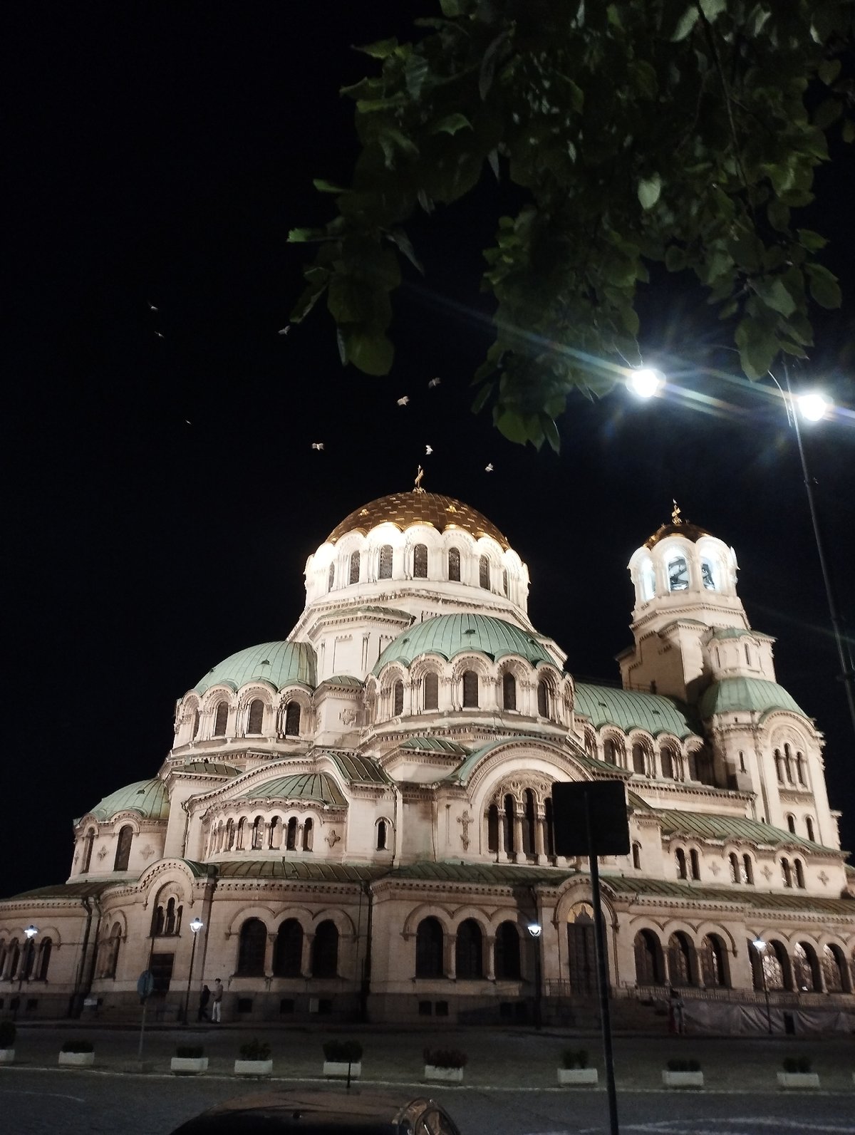 Alexander Nevsky Cathedral documented at night with surrounding grounds