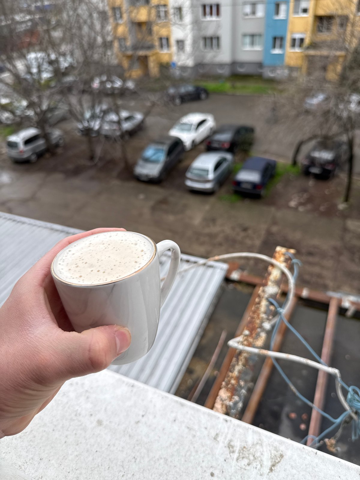 Morning routine captured in Stara Zagora: coffee, pets, takeout