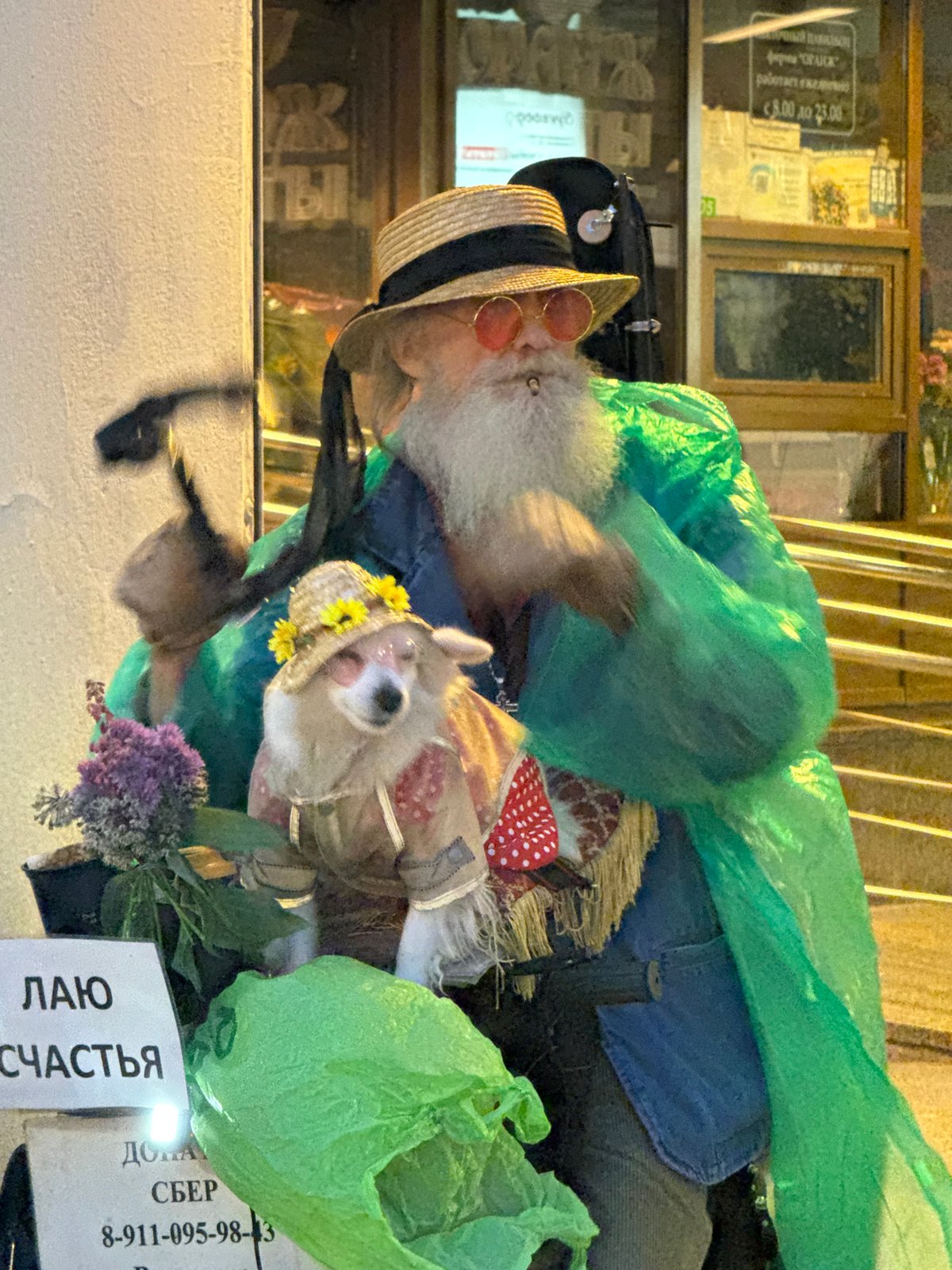 Green poncho, scooter, and a hat-wearing dog in Saint Petersburg