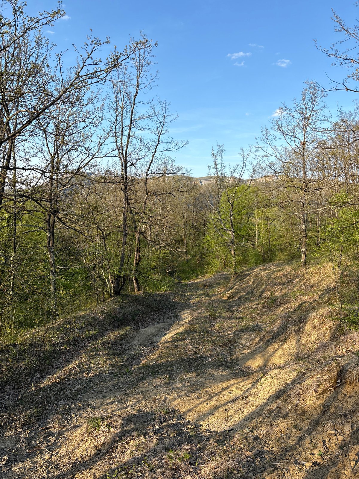 Spring scene documented in Dragievtsi, Bulgaria shows emerging foliage