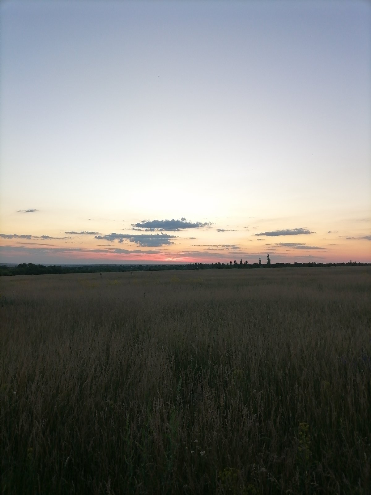 Twilight documented over rural field with gradient sky