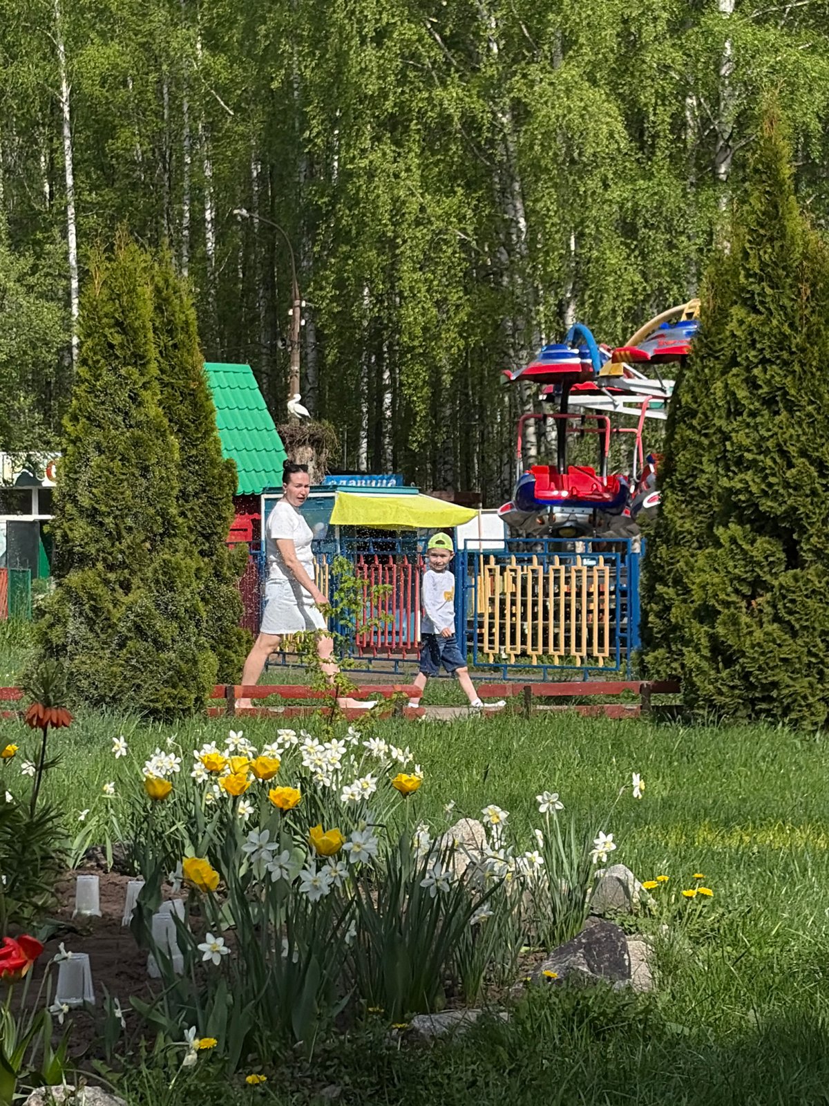 Park visitors document sunny morning recreational activities across multiple locations
