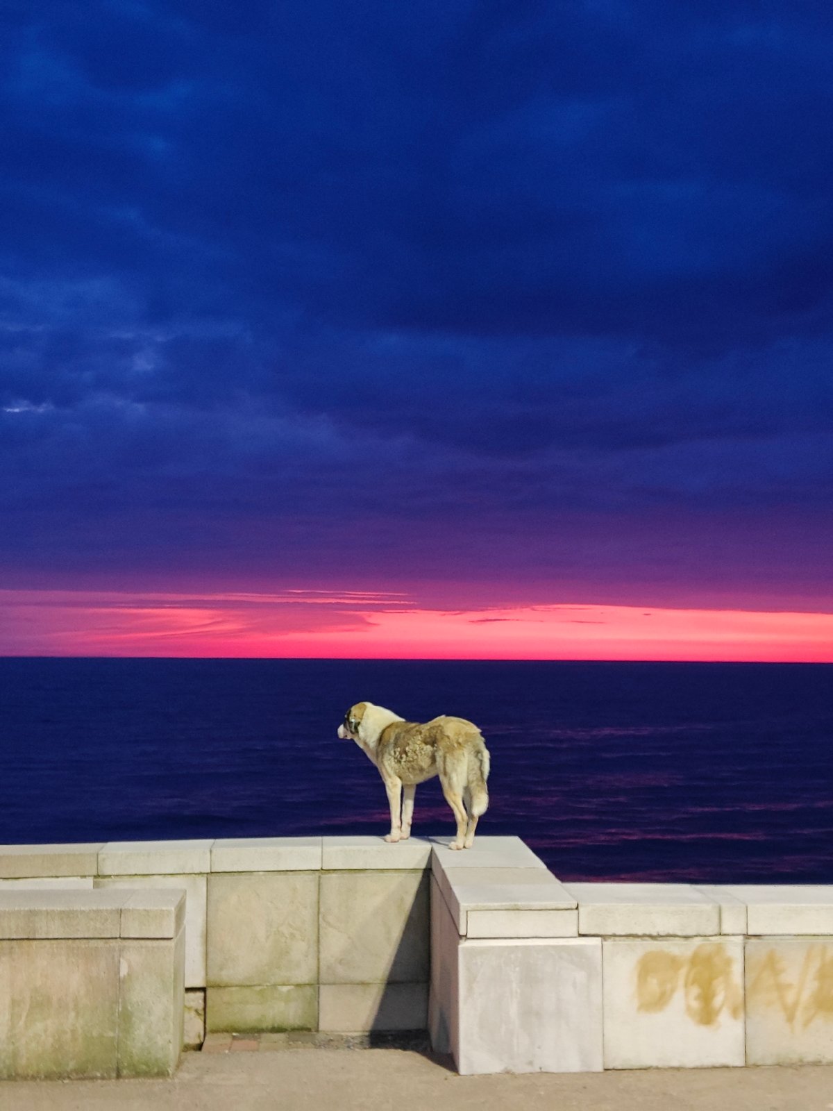 Evening scenes captured in Kobuleti, Georgia seaside town