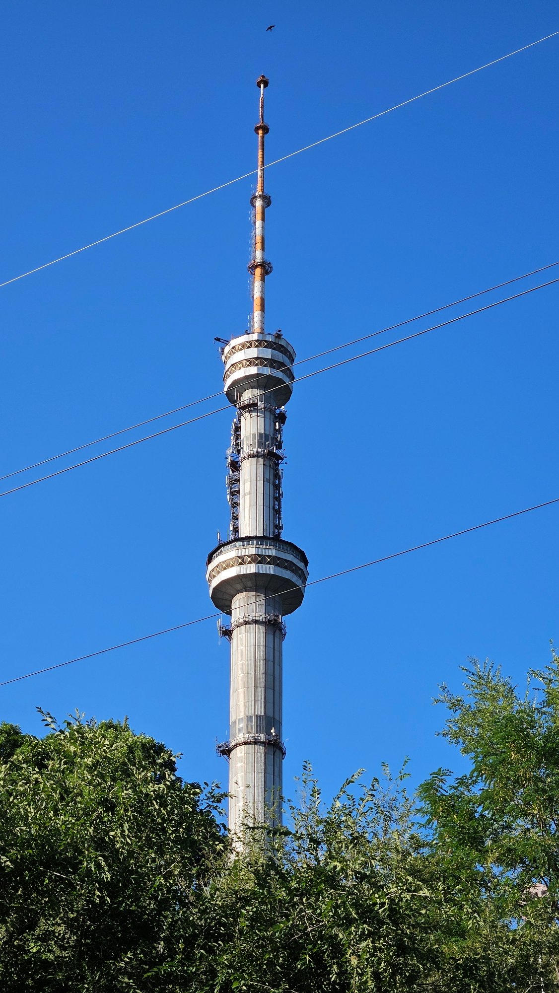 Afternoon on Kok-Tobe Hill: tower views, murals, and mountain rivers