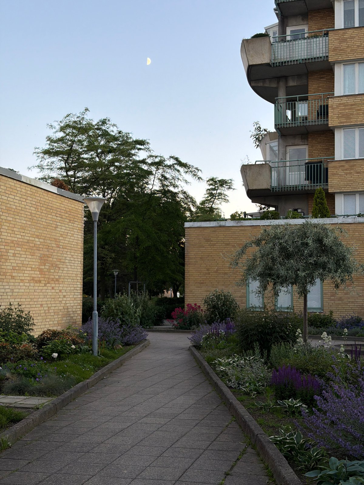 Helsingborg summer evening, inside and out