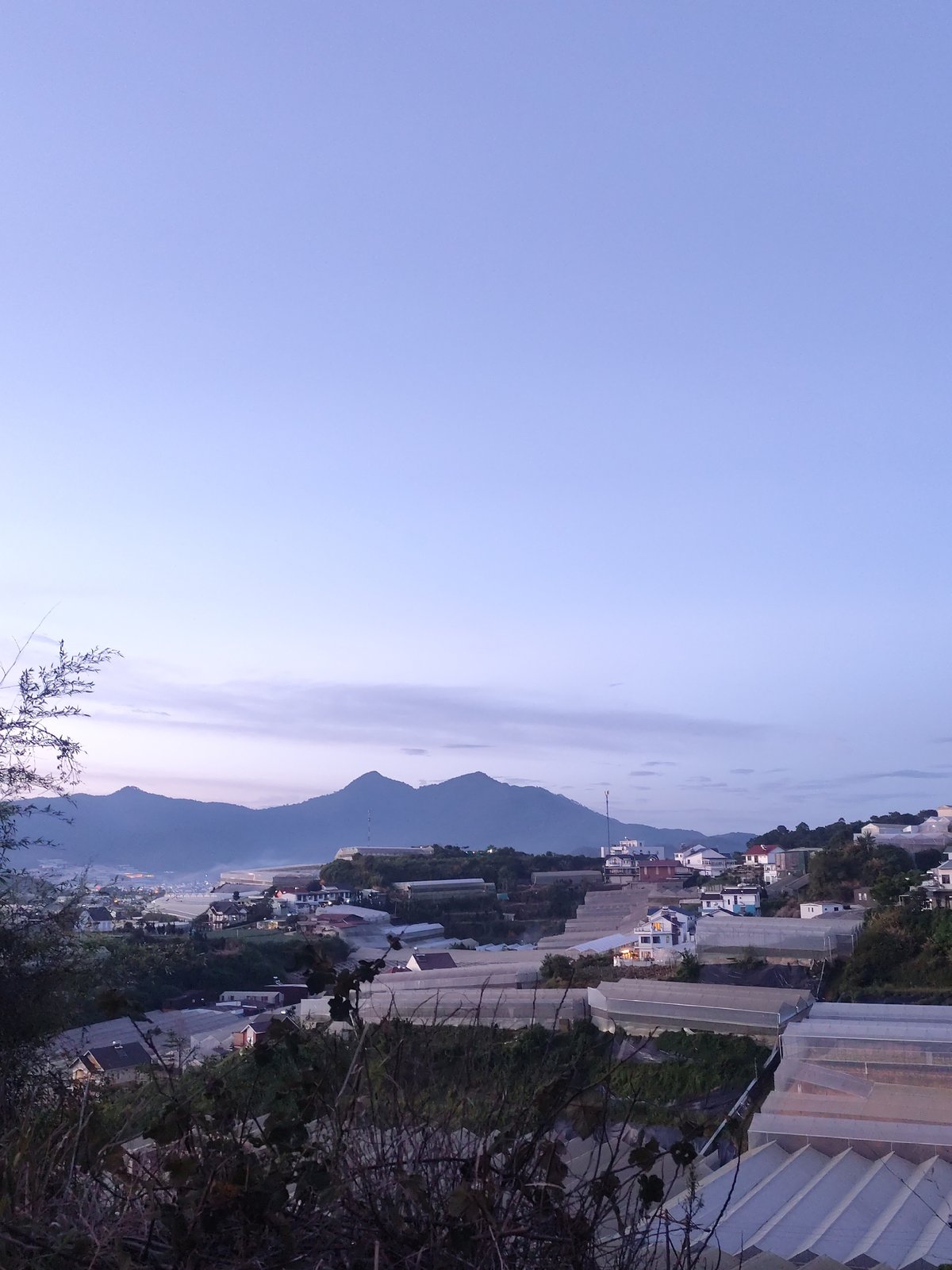 Greenhouse valley at golden hour, Lạc Dương