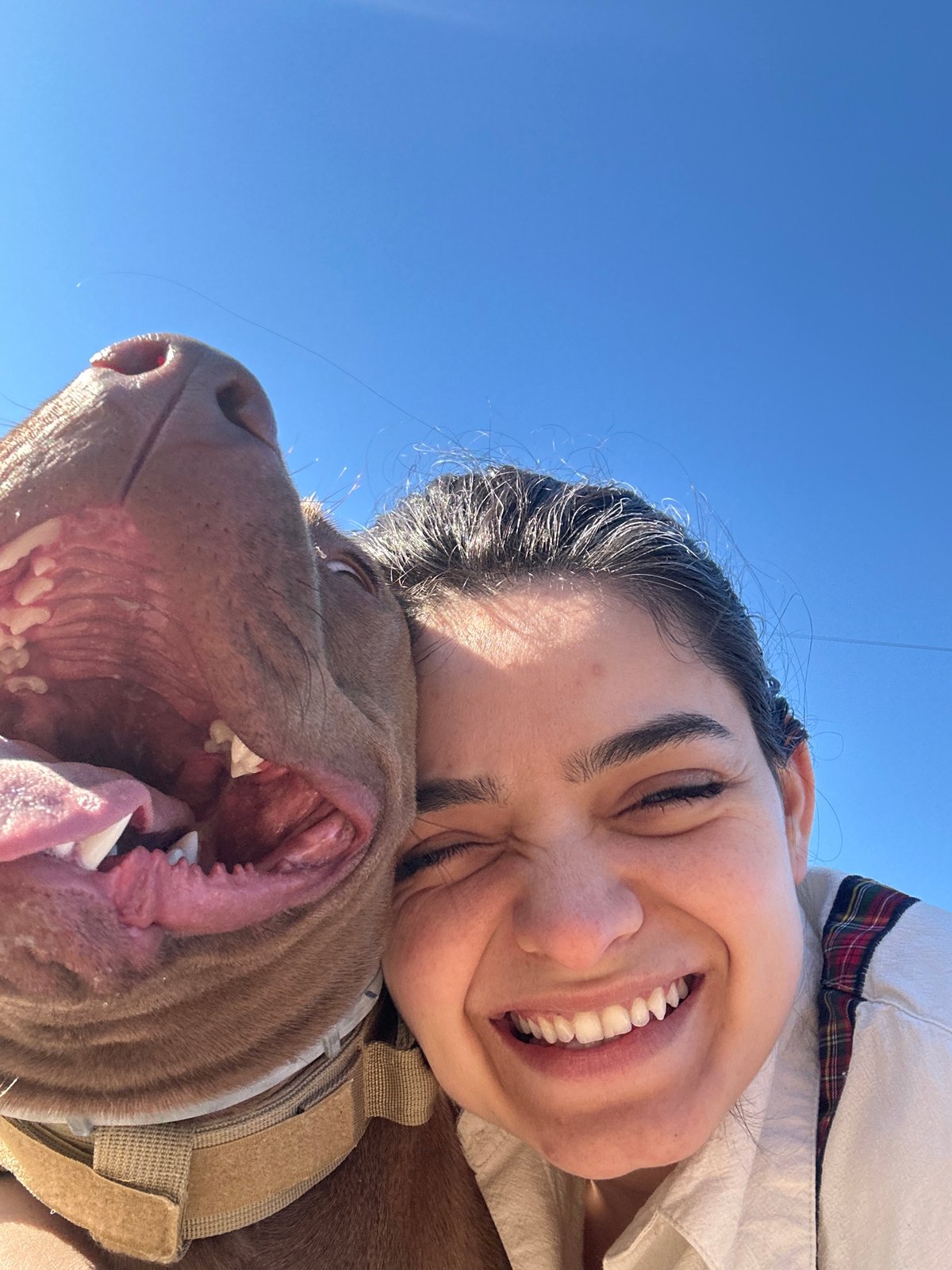 Woman and dog share quiet moment in Bulgarian village
