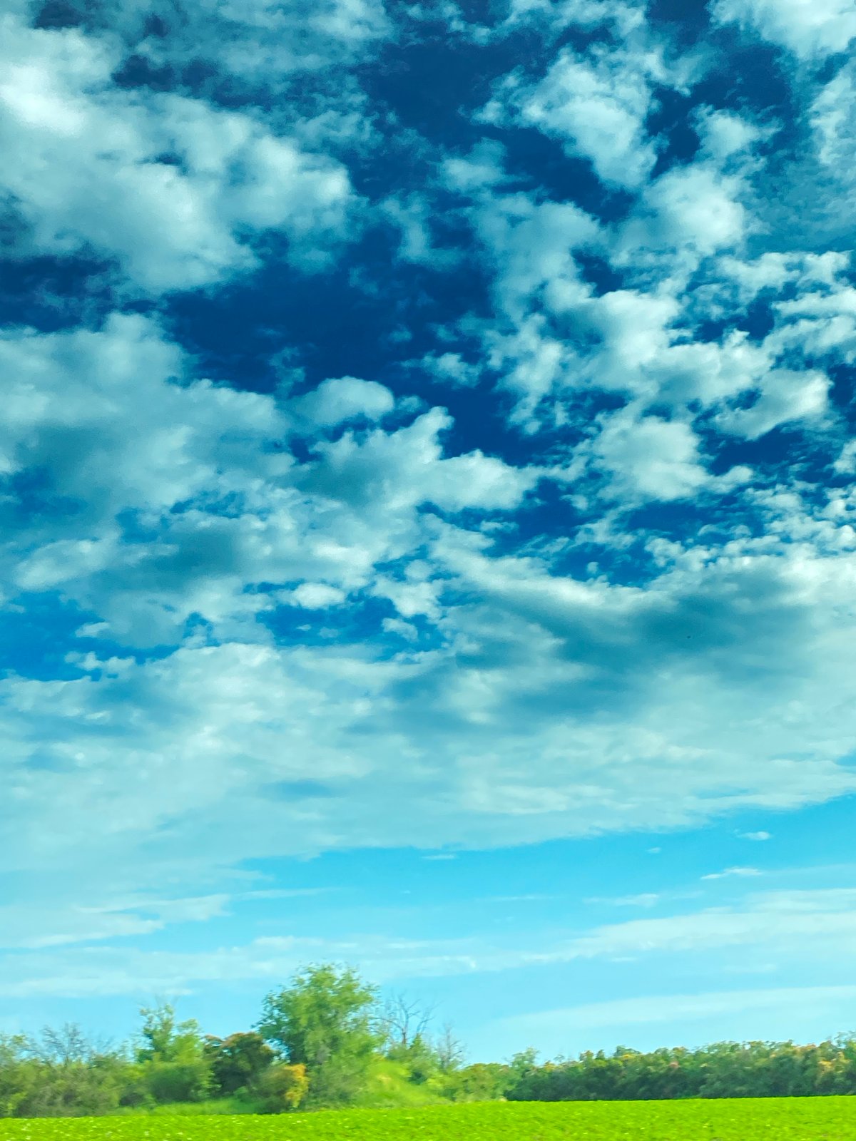 Rural observer documents changing skies and ripe cherry harvest