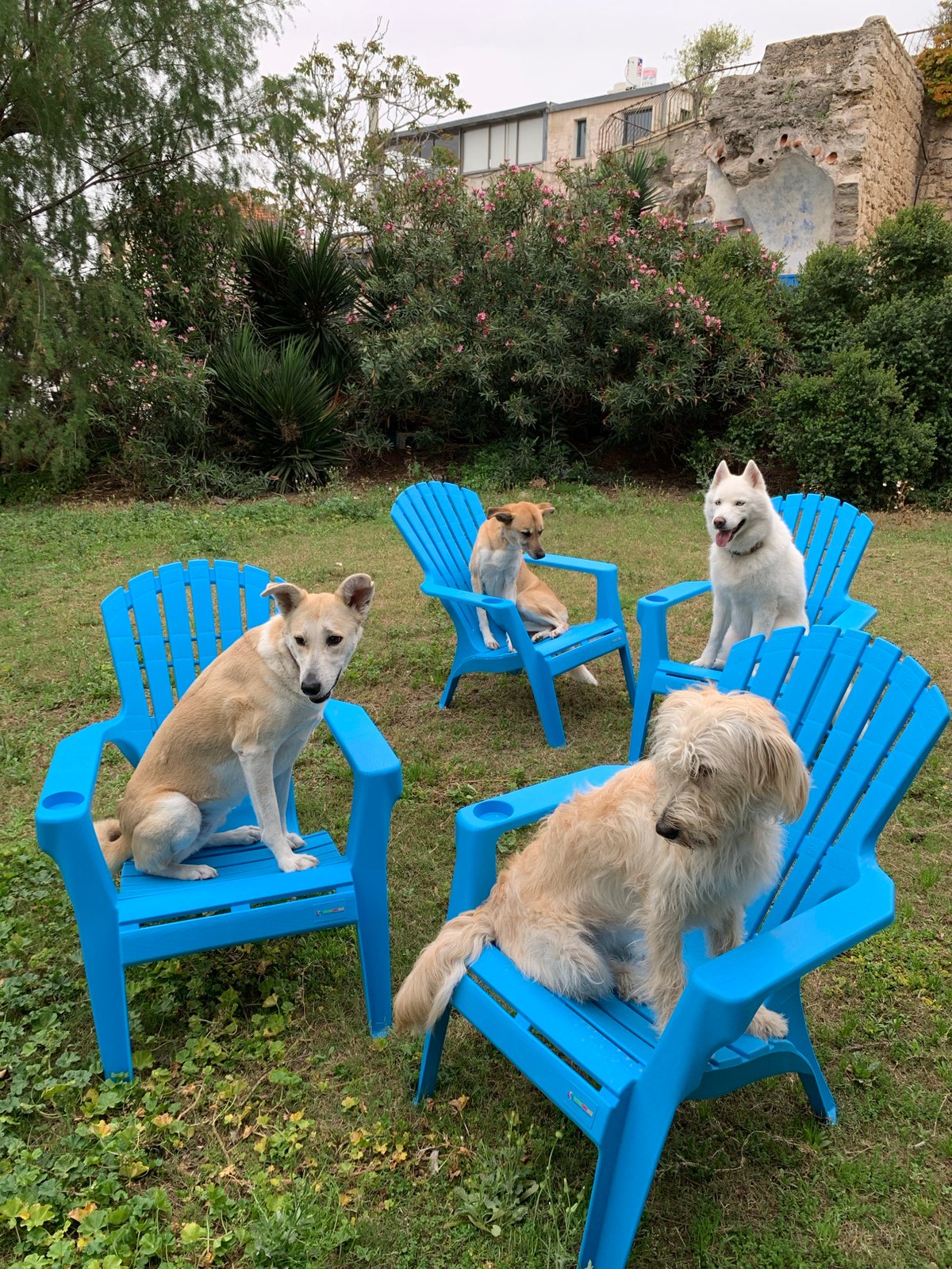 Morning slice-of-life moments captured across Tel Aviv
