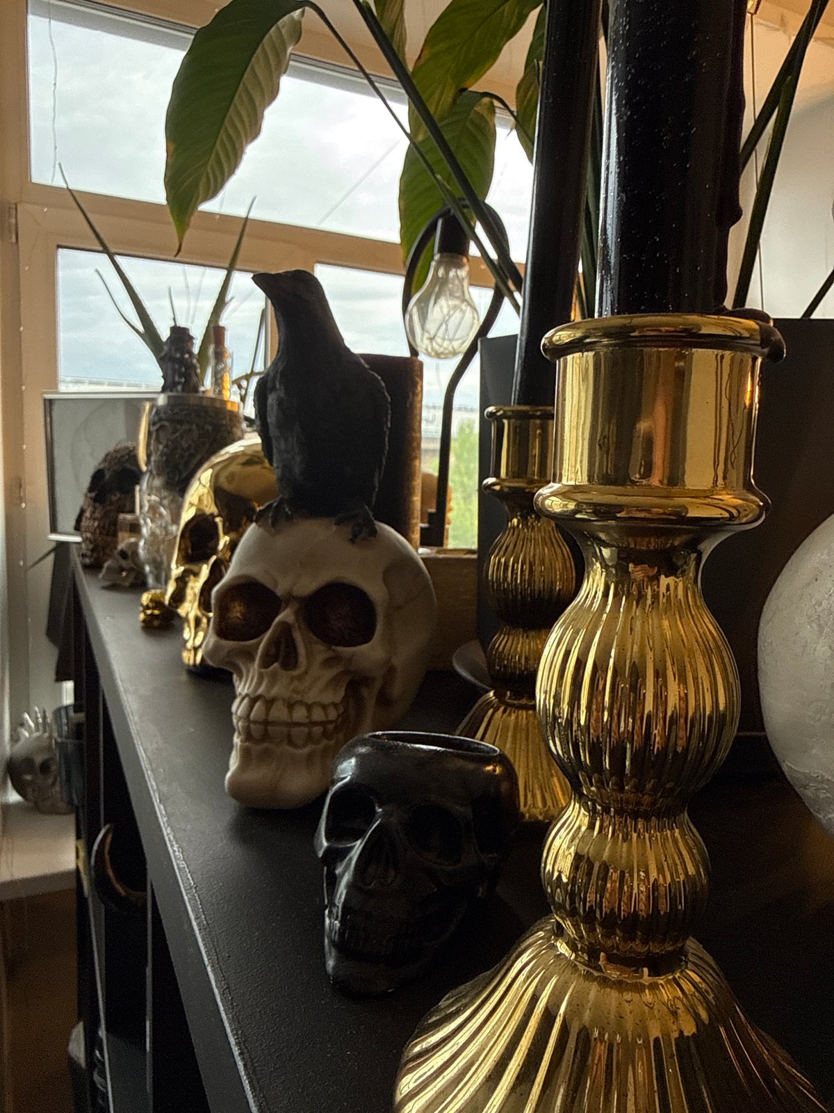 Krasnoyarsk resident showcases decorative skull collection at home
