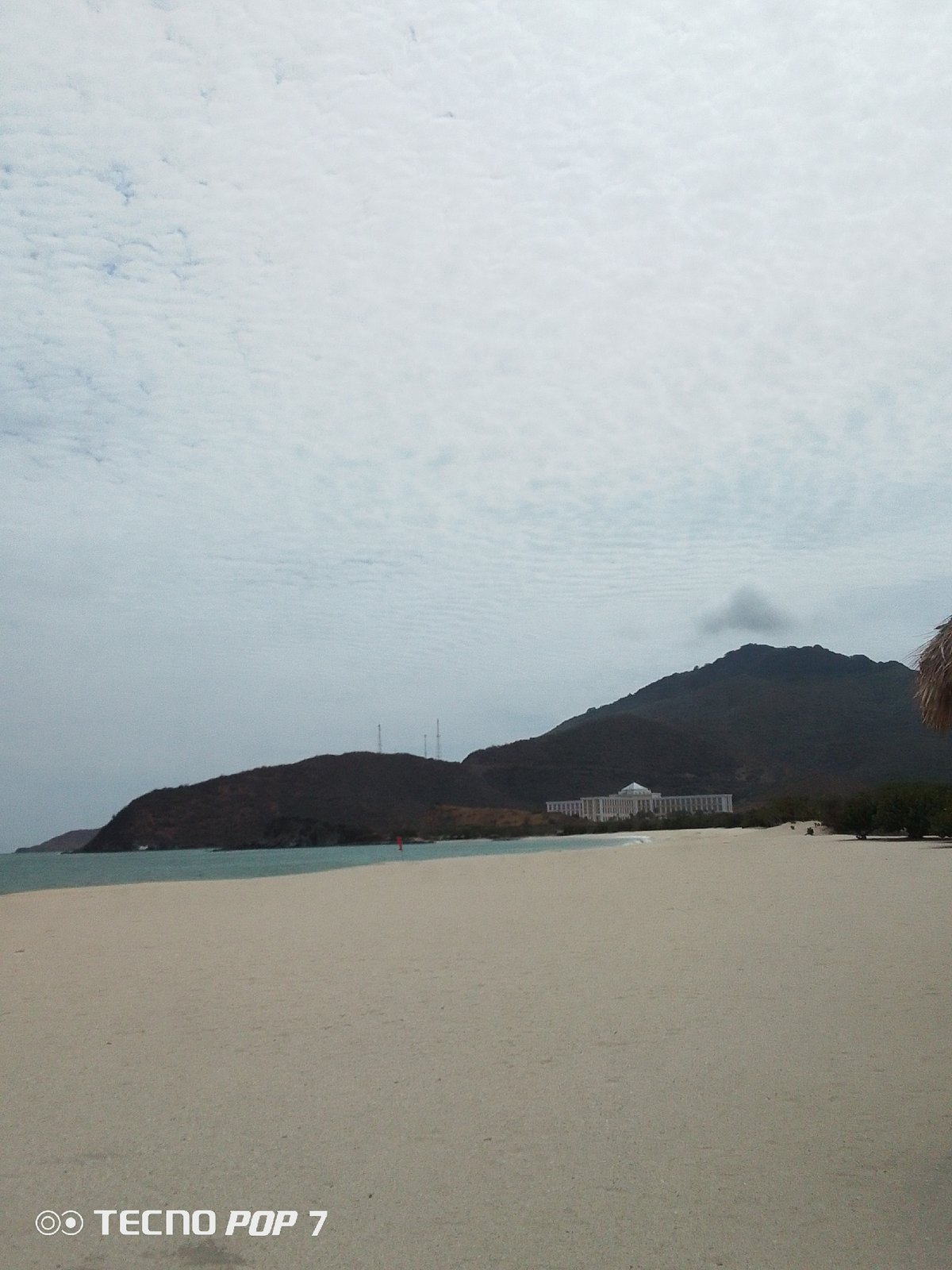 Overcast afternoon at Pedro González beach, palm trees sway